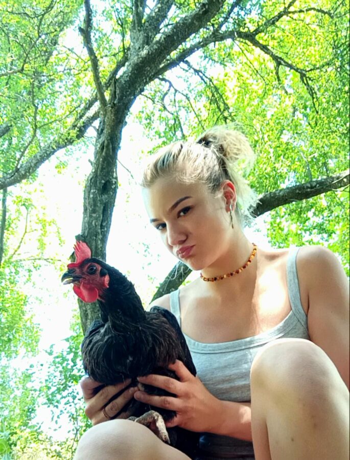 Our Chickens and Their Care From Compost Feeding to Fresh Eggs